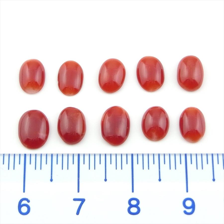 珊瑚 裸石 ルース 赤珊瑚 カボション 10pcセット 高知県産 天然  