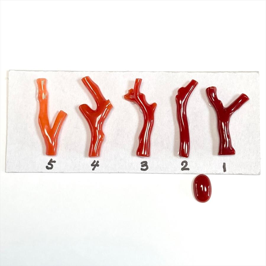 天然赤珊瑚 枝ルース 約10cm 高知県産　#ー02 珊瑚 裸石 ルース 血赤珊瑚 枝セット 高知県産 天然 : キャセイ