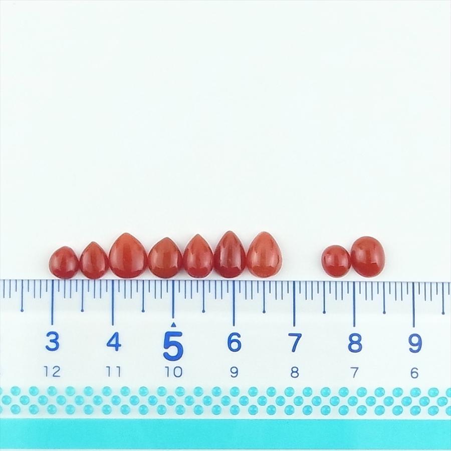 天然赤珊瑚 枝ルース 約10cm 高知県産　#ー02 珊瑚 裸石 ルース 血赤珊瑚 枝セット 高知県産 天然 : キャセイ