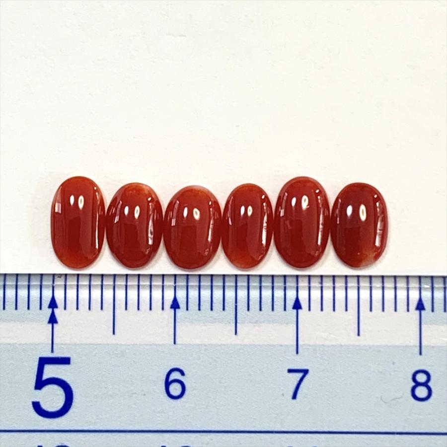 本珊瑚 ルース 6g 本珊瑚 ルース 6g jewel planet 公式サイト / 珊瑚