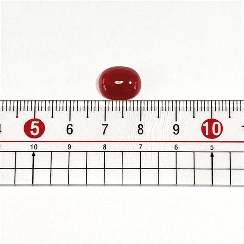 珊瑚 裸石 ルース 血赤珊瑚 カボション 高知県産 天然の画像