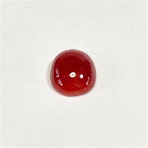 珊瑚 裸石 ルース 血赤珊瑚 カボション 高知県産 天然の画像