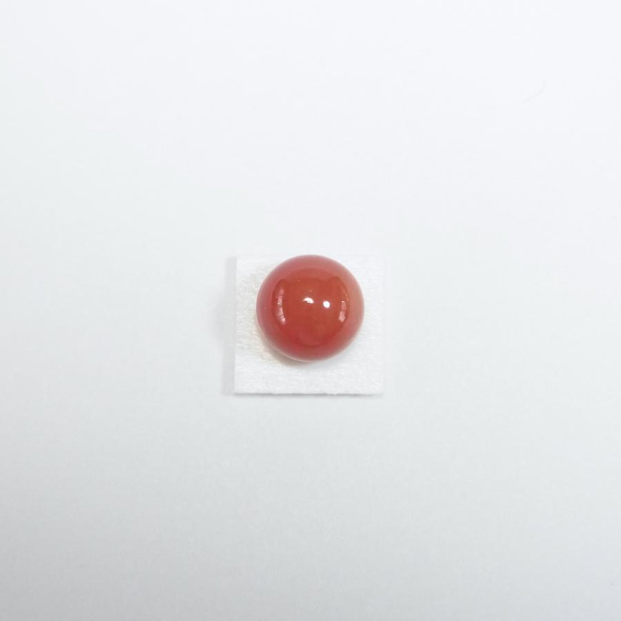 天然血赤珊瑚 サンゴ コーラル ルース 丸玉　片穴7.3mm 珊瑚 裸石 ルース 血赤珊瑚 7.3mm玉 片穴 高知県産 日本産 天然