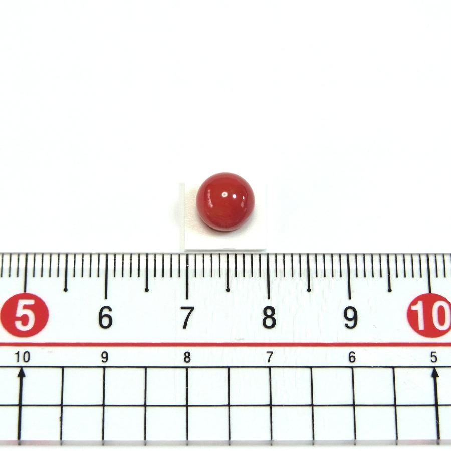 天然血赤珊瑚 サンゴ コーラル ルース 丸玉　片穴7.3mm 珊瑚 裸石 ルース 血赤珊瑚 7.3mm玉 片穴 高知県産 日本産 天然