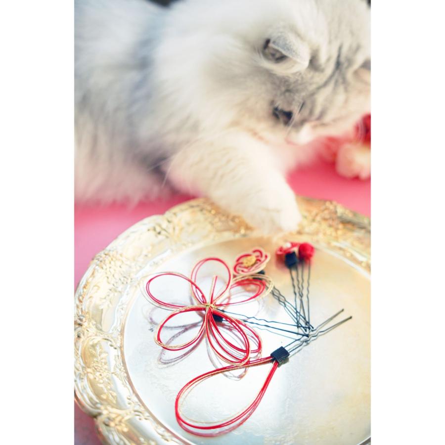 Catherine Cottage 超目玉セール｜水引髪飾り Uピンセット 送料