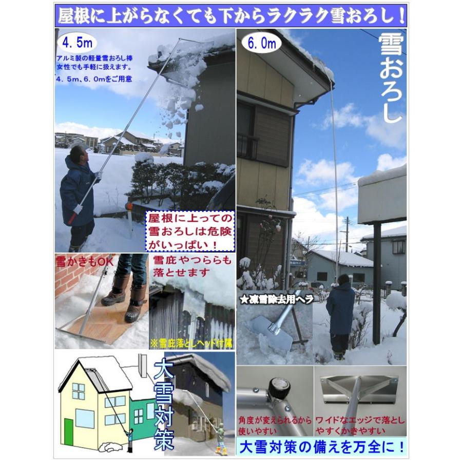 正規通販 多機能雪降ろし 雪庇落とし 凍雪除去用ヘラセット 軽量 雪かき雪おろし棒 4 5mタイプ 屋根 バルコニー Www Reinnec Cl