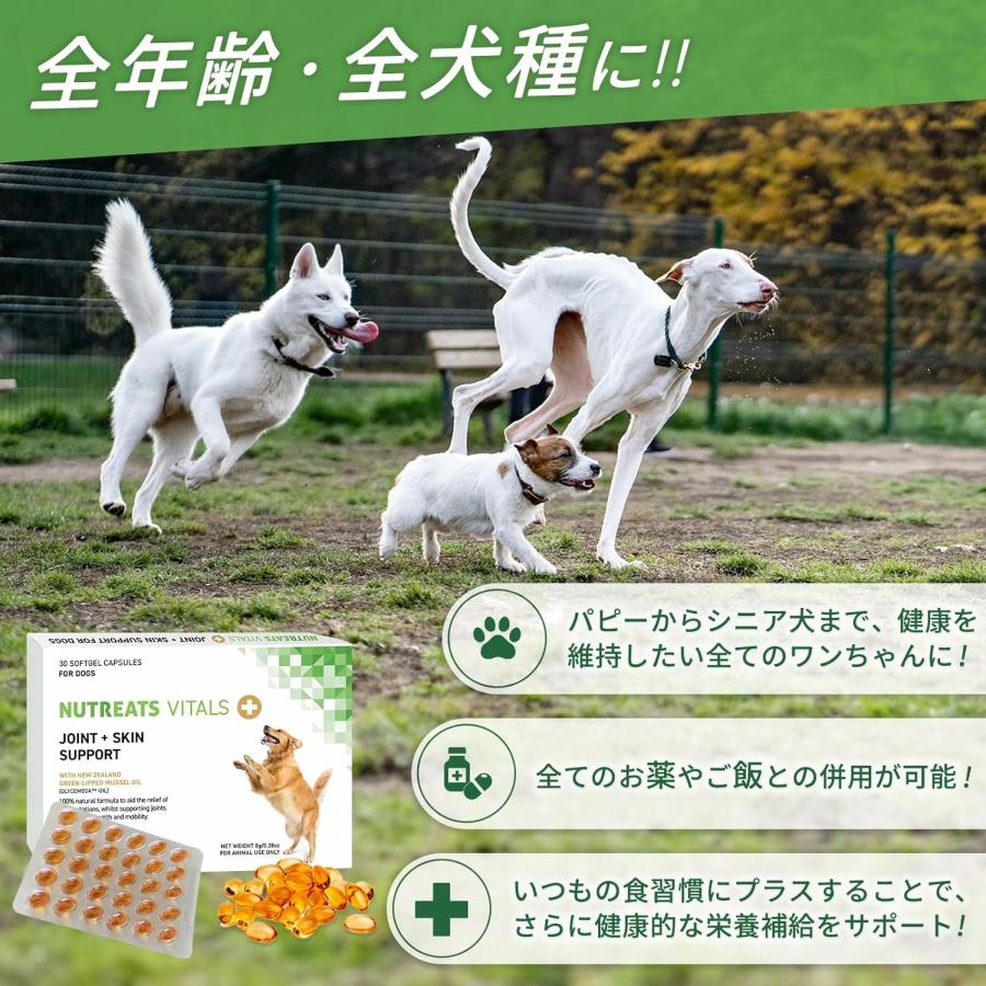 獣医師監修】犬用 ニュートリーツ バイタルズプラス オメガ3 関節皮膚