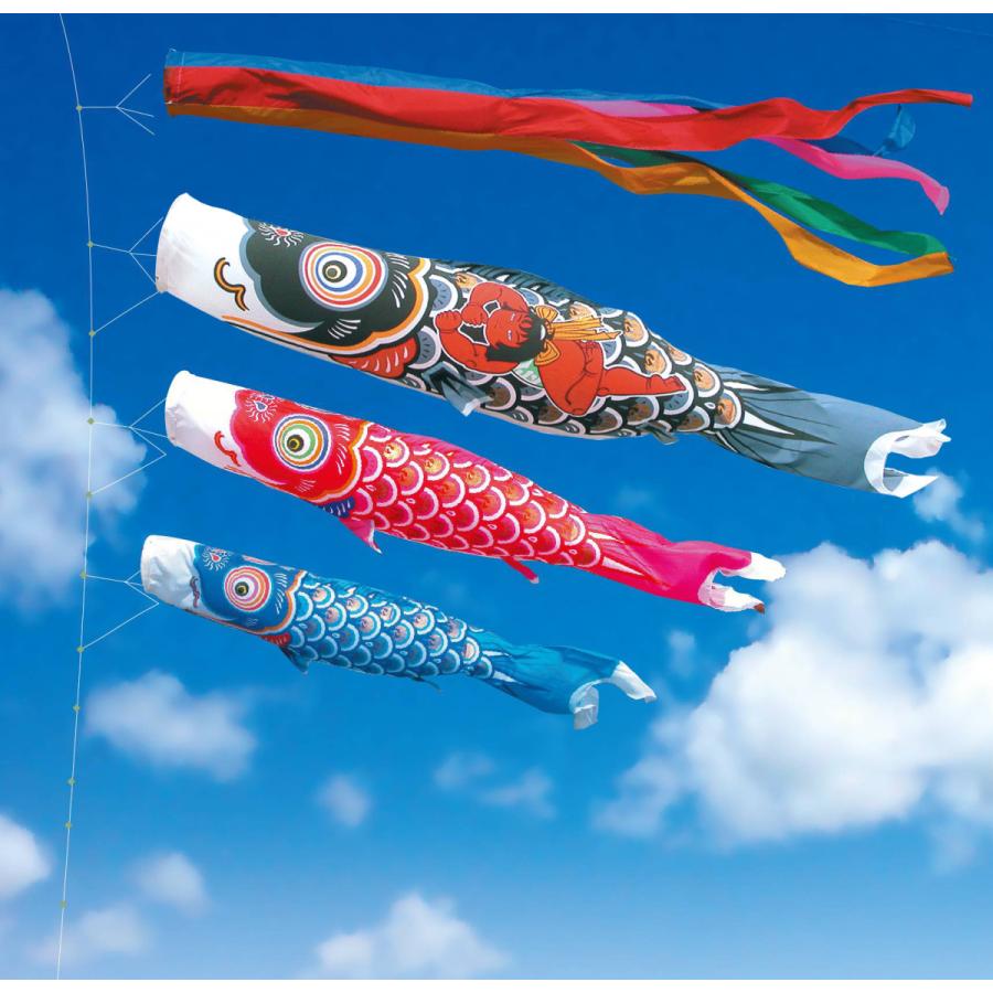 ゴールド鯉 (金太郎) 大型セット 5M6点セット : キャッツアイヤフー店