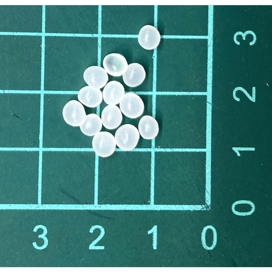 PLAペレット 500g（高流動） 樹脂ペレット 射出成型用材料 研究や試作