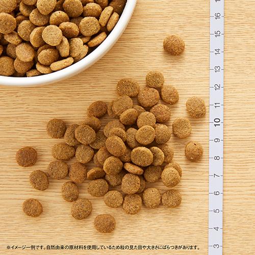 ニュートロ ナチュラルチョイス ラム&玄米 子犬用 全犬種用 6kg｜cattery-branche｜02