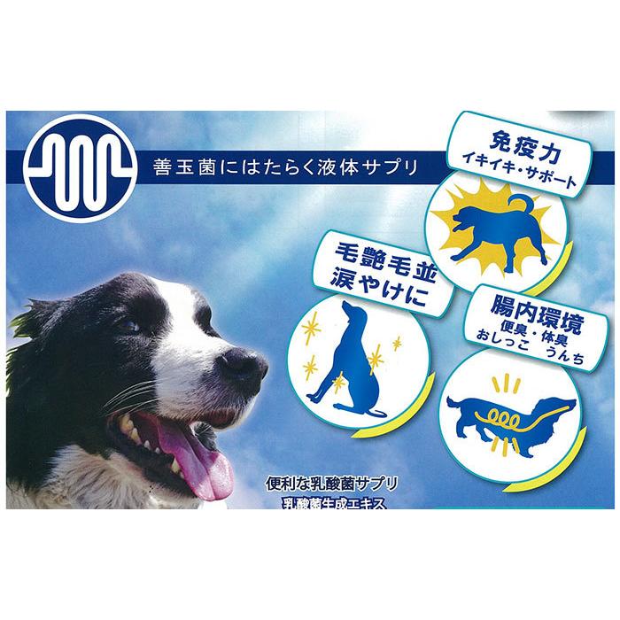 コスモスラクト 100ml 乳酸菌生成エキス ペット専用 : Cattry BRANCHE