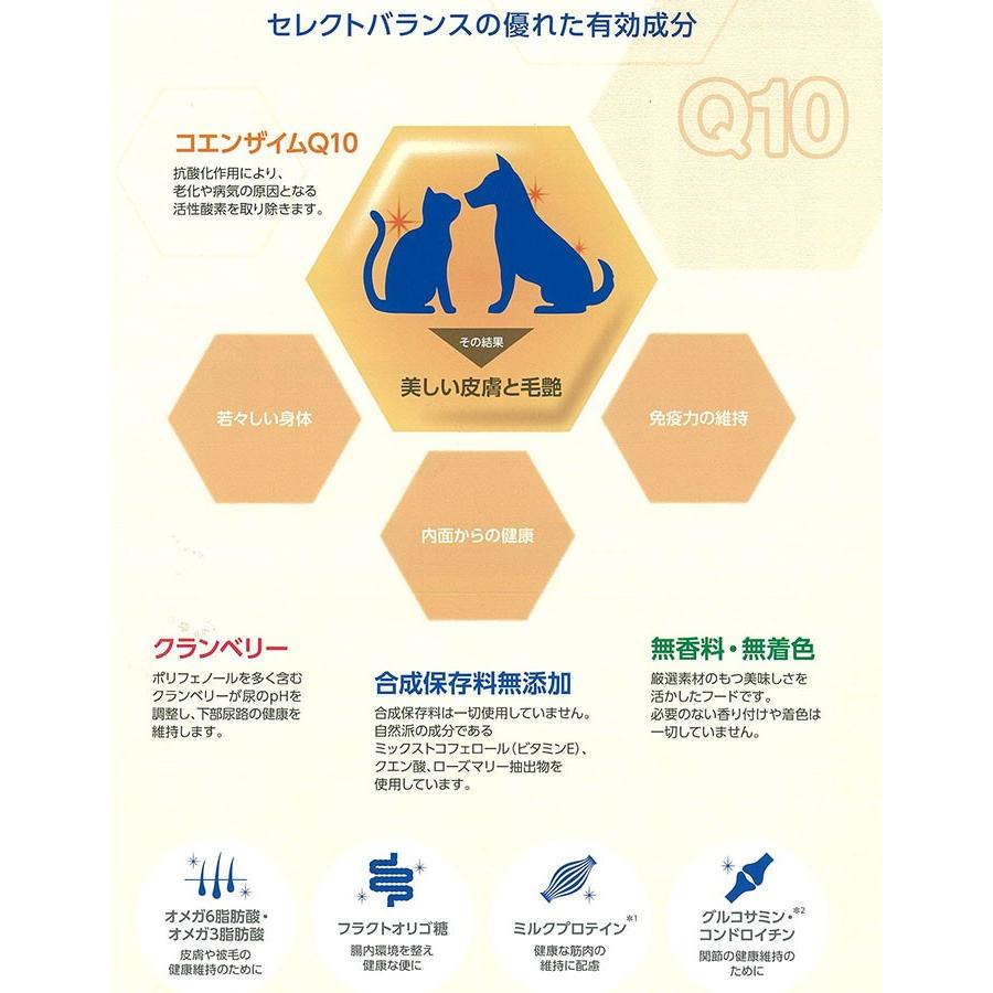 SELECT BALANCE セレクトバランス パピー ラム 小粒 子犬・母犬