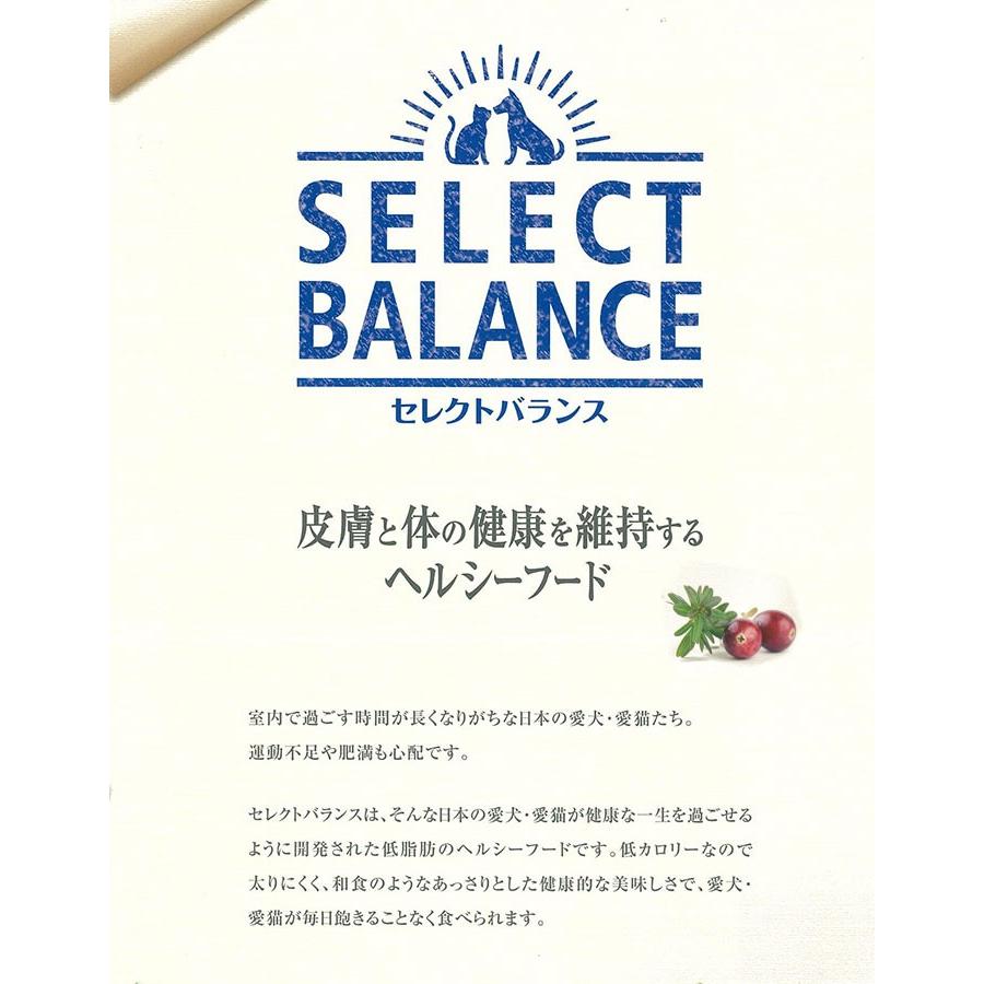 セレクトバランス アダルト チキン 中粒 1才以上の成犬用 3kg おまけ付き｜cattery-branche｜04