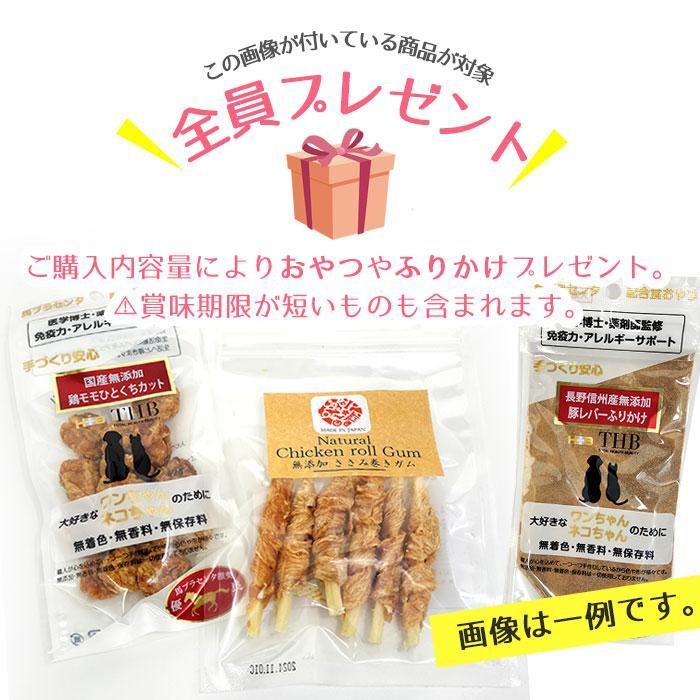 CHARM チャーム フリーランチキン ドッグフード 5.4kg おまけ付き_3
