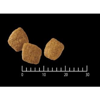 プロプラン 全犬種 7歳以上の成犬用 健康な脳と記憶力のサポート