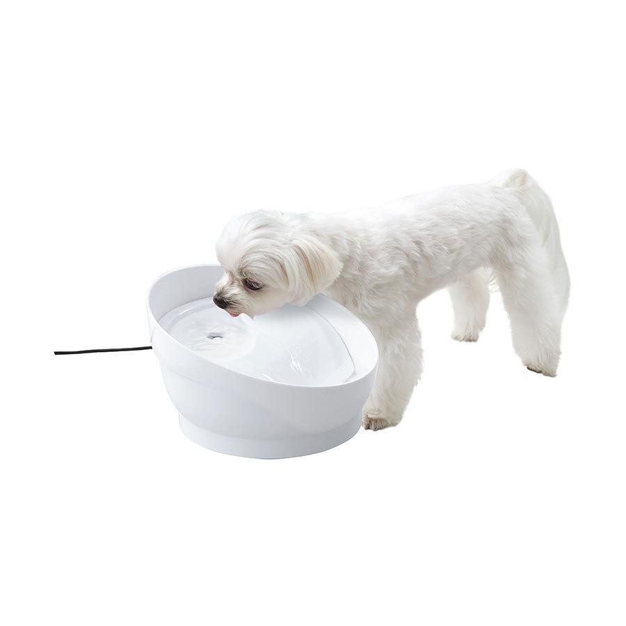 ジェックス ピュアクリスタル コパン犬用 ホワイト 114 1014 Cattry Branche 通販 Yahoo ショッピング