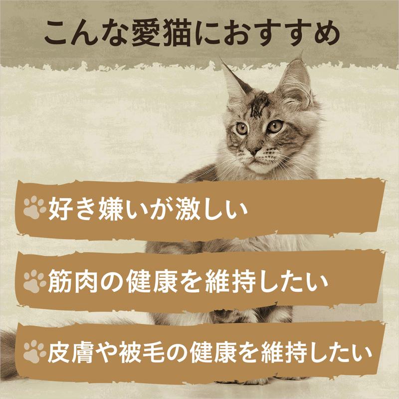 ニュートロ キャット ワイルド レシピ アダルト サーモン 成猫用 400g｜cattery-branche｜07