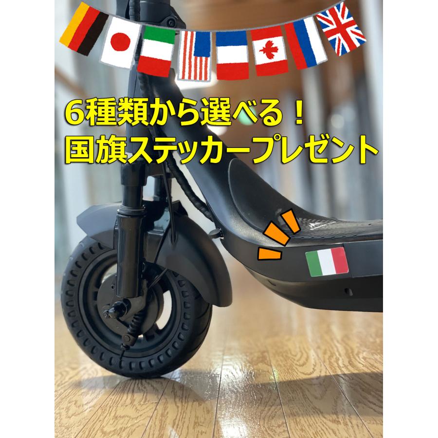 電動キックボード EVEREST XING EX15 PRO 特定小型原動機付自転車