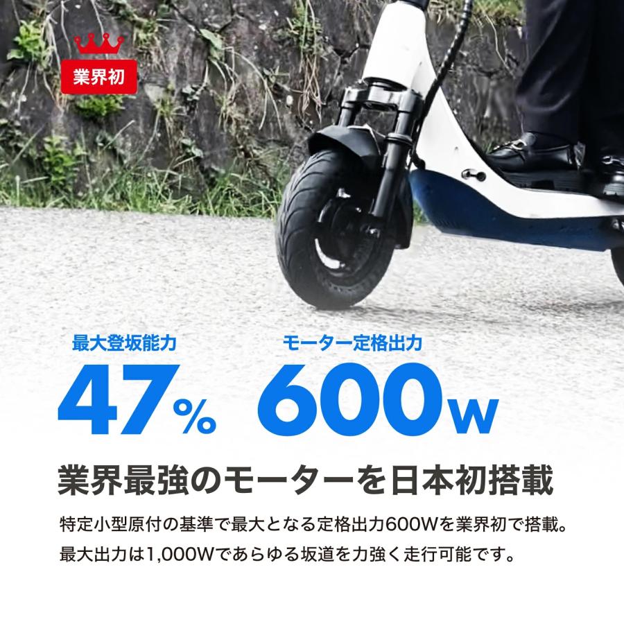 電動キックボード EVEREST XING EX15 PRO 特定小型原動機付自転車