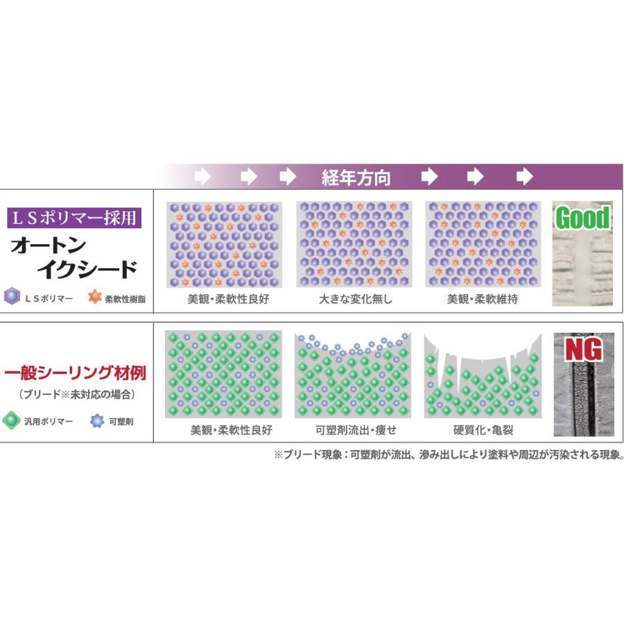 オートンイクシード 320ml × 10本 超高耐久 30年 ノンブリード