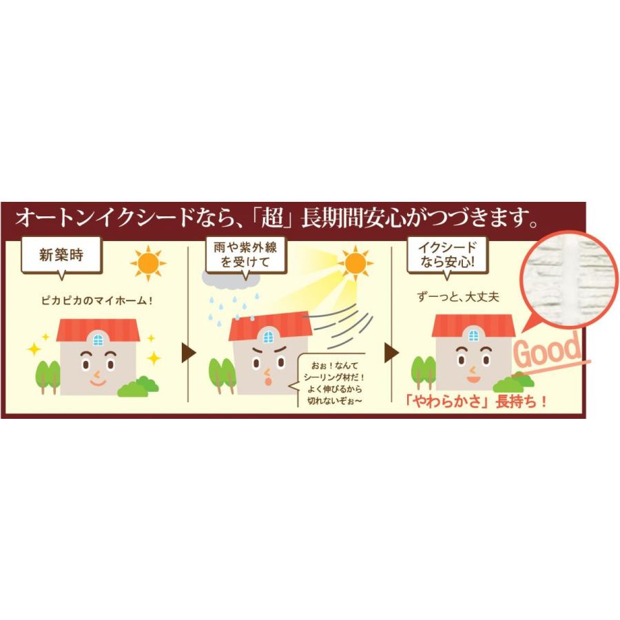 オートンイクシード 320ml × 10本 超高耐久 30年 ノンブリード