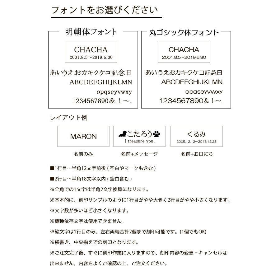 遺骨ペンダント ステンレス ネックレス アクセサリー メモリアルペンダント ネコポス送料無料 遺骨ペンダント レビューを書いておまけをget 複数購入でも1個まで レビューを書く