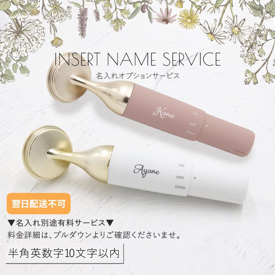 StylFace Renaissance 美顔器 シルバー Amazon.co.jp: 【美人百花RF美顔器部門NO1】ANLAN RF温冷美顔器