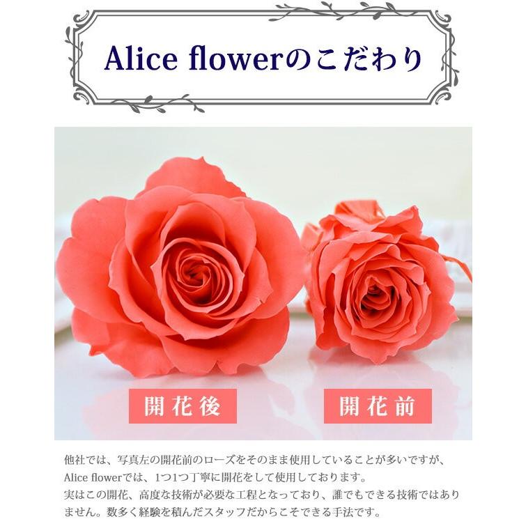 アメリカンフラワー　バラ　10本 Alice flower（アリスフラワー） 花束 プレゼント バラ 10本