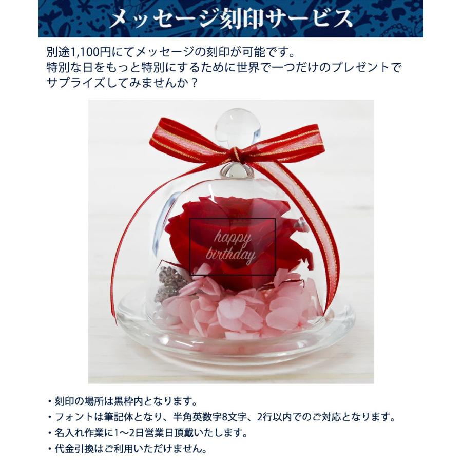 カーネーション プリザーブドフラワー ガラスドーム ガラスケース バラ プレゼント ギフト お祝い 父の日 誕生日 彼女 枯れない 女性 お買い得 名入れ