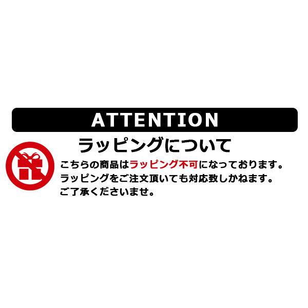 プロヴァイド OC メンテナンスクリーナー 300ml 刷毛付き PROVIDE
