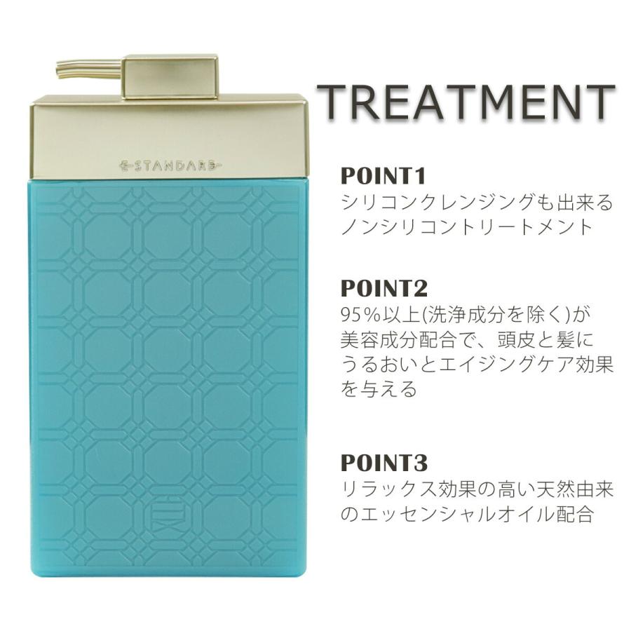 E-STANDARD スカルプトリートメント＆シャンプーセット E STANDARD イイスタンダード シャンプー スカルプ +