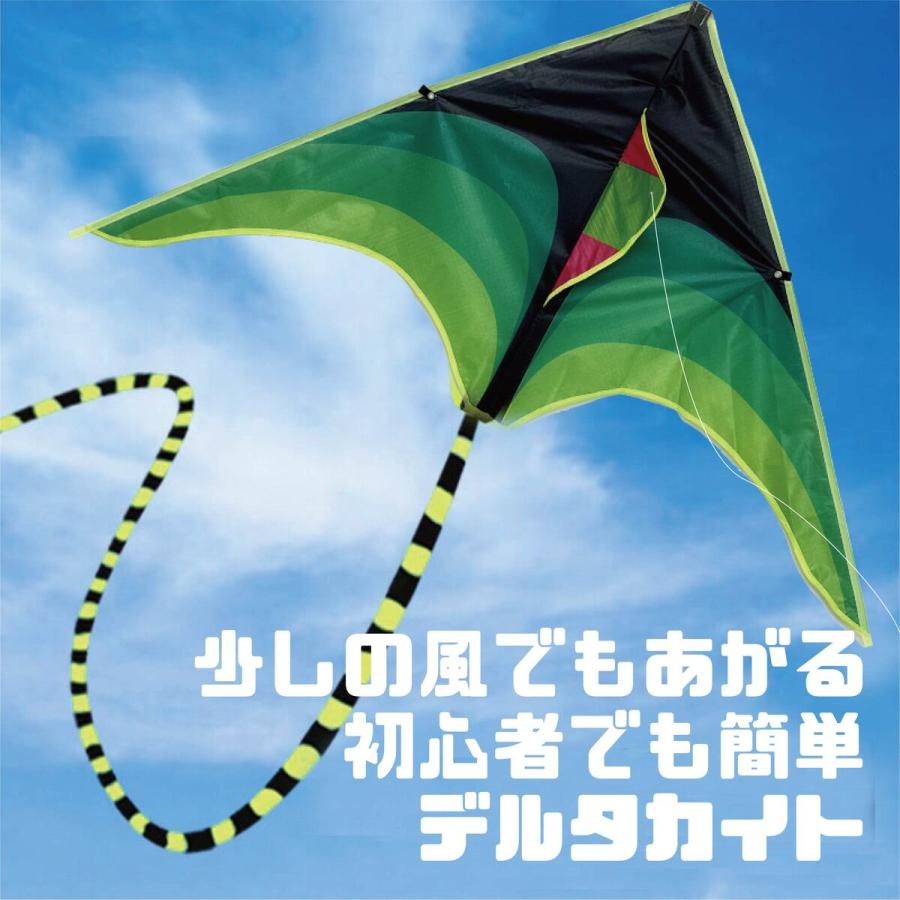 カイト 凧 専用リール付属 長尾200cm 凧揚げ 凧上げ タコ揚げ スポーツ 外遊び キッズ 子供 家族 おもちゃ 玩具 レジャー ピクニック 公園 キャンプ｜cavatina｜02