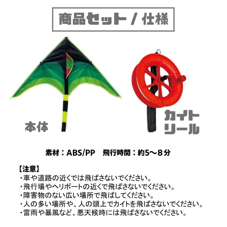 カイト 凧 専用リール付属 長尾200cm 凧揚げ 凧上げ タコ揚げ スポーツ 外遊び キッズ 子供 家族 おもちゃ 玩具 レジャー ピクニック 公園 キャンプ｜cavatina｜10