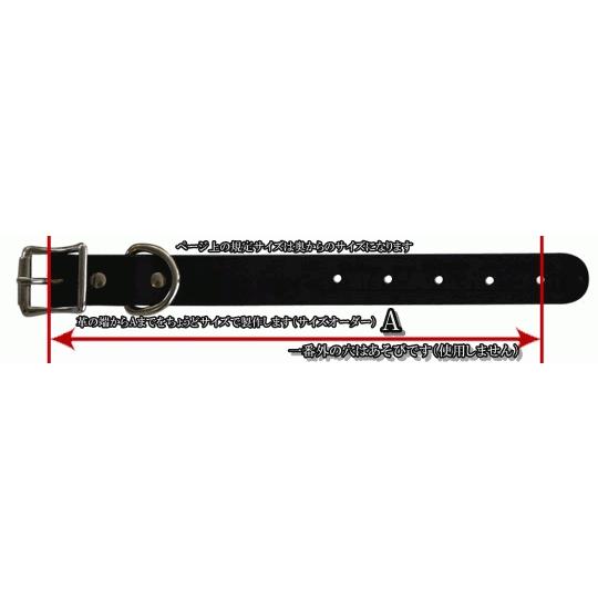 幅広い犬種に人気・M&R Factory（新）ターコイズブルー・革製シロ・ハートスタッズ首輪25002　#首輪　#ボストンテリア　#フレンチブルドッグ |  | 04