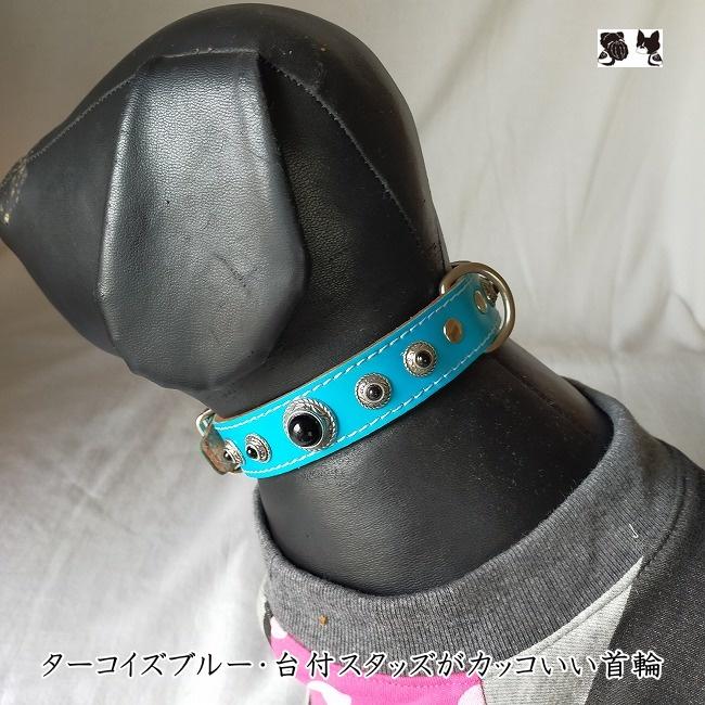 シンプル・M&R Factoryターコイズブルー・革製スタッズ首輪