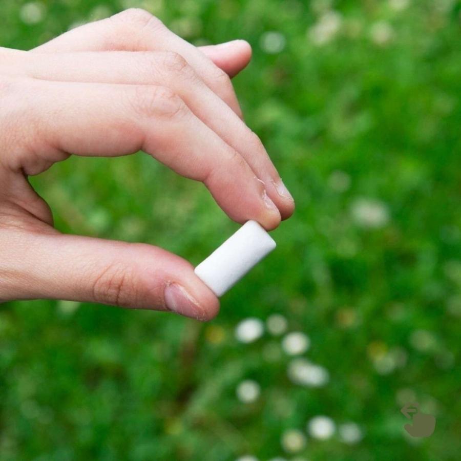 CBDガム100mg/12個：ペパーミント - EUPHORIA（ユーフォリア） 食べる（エディブル） シュガーレス ヴィーガン マウスケア リラックス リフレッシュ |  | 04