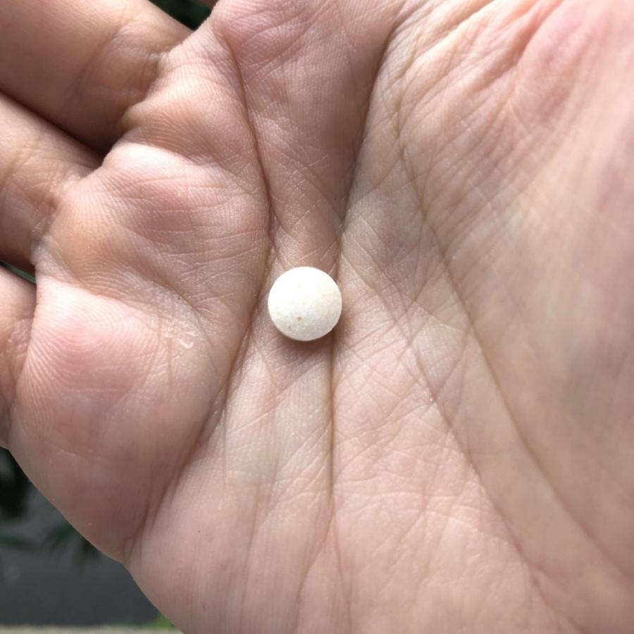 マウスケアセット：CBD歯みがき粉 + CBGタブレット おすすめ セット ￥280割引 グリース CBD Library（CBDライブラリー） × MOSTY food（モスティフード） |  | 07