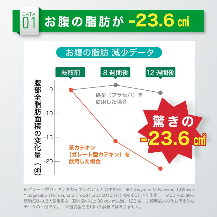 新作アイテム毎日更新 新発売 半額クーポンで1 6円 機能性表示食品 カテキン 高めのbmiを下げるカテキン 日本製 お腹の脂肪 内臓脂肪 減らす サプリメント サプリ ウエスト Wantannas Go Id