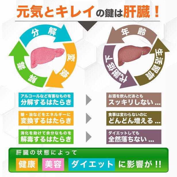 機能性表示食品 スルフォラファン × 3袋 ( 3ヵ月分 ) ALT値 肝臓