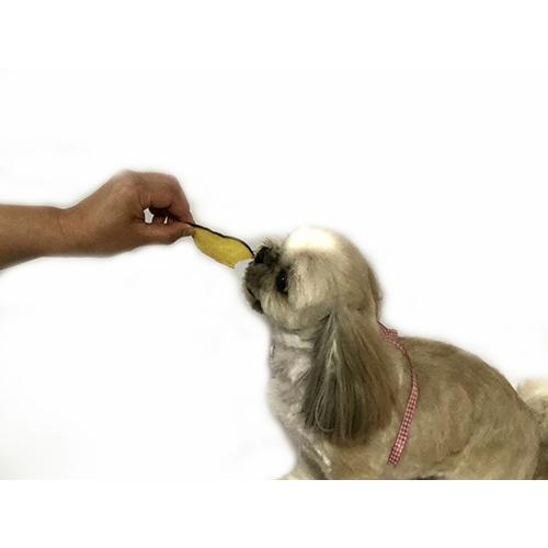 さつまいもチップス 犬のおやつ 無添加 犬のおやつ 野菜 完全無添加 国産 ノンフライ ノンオイル ノンシュガー アレルギーのあるわんちゃんに g 2 犬のおやつ無添加 鹿肉 Cbドッグ 通販 Yahoo ショッピング