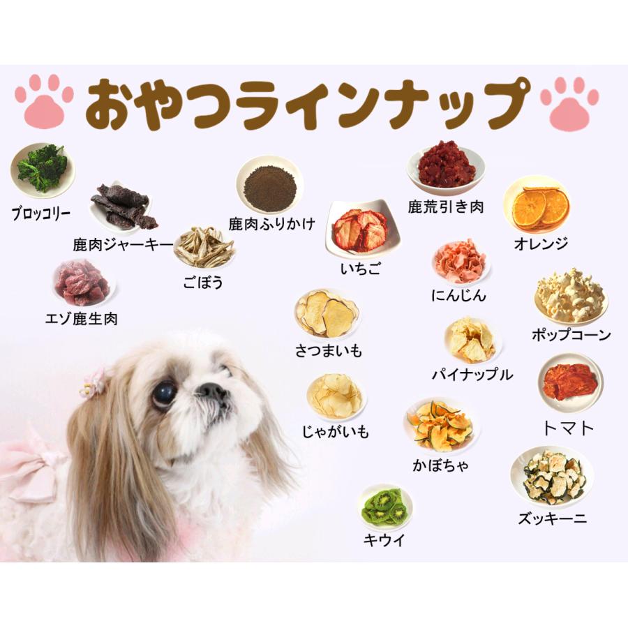 ブロッコリーチップス【犬のおやつ 無添加】【犬のおやつ 野菜】【犬のおやつ アレルギー】 ノンオイル・ノンシュガー　アレルギーのあるわんちゃんに　18g｜cbdog｜05