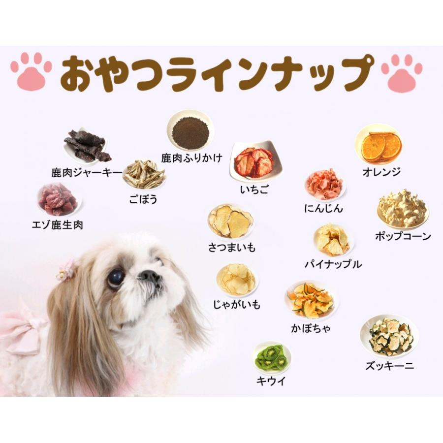 ごぼうチップス 犬のおやつ 無添加 犬のおやつ 野菜 犬のおやつ アレルギー 北海道産 ノンオイル ノンシュガー アレルギーのあるわんちゃん g 5 Cbドッグ 通販 Yahoo ショッピング