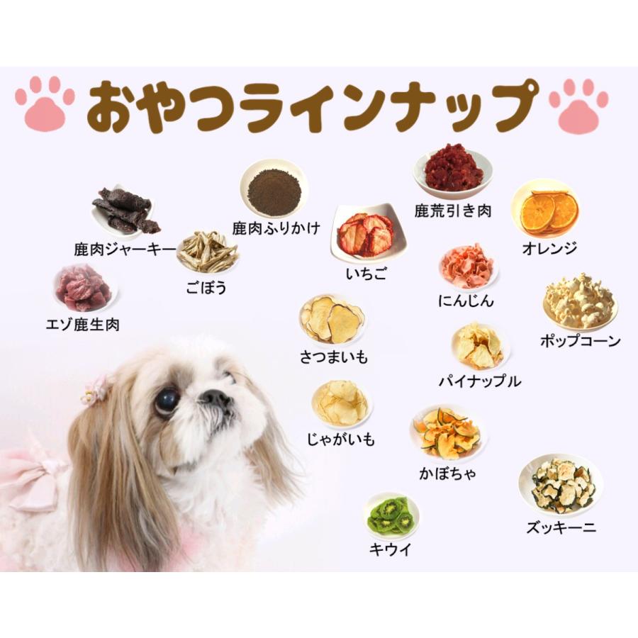 ズッキーニチップス 犬のおやつ 無添加 犬のおやつ 野菜 完全無添加 北海道産 ノンフライ ノンオイル ノンシュガー アレルギーのあるわんちゃんに g 6 犬のおやつ無添加 鹿肉 Cbドッグ 通販 Yahoo ショッピング