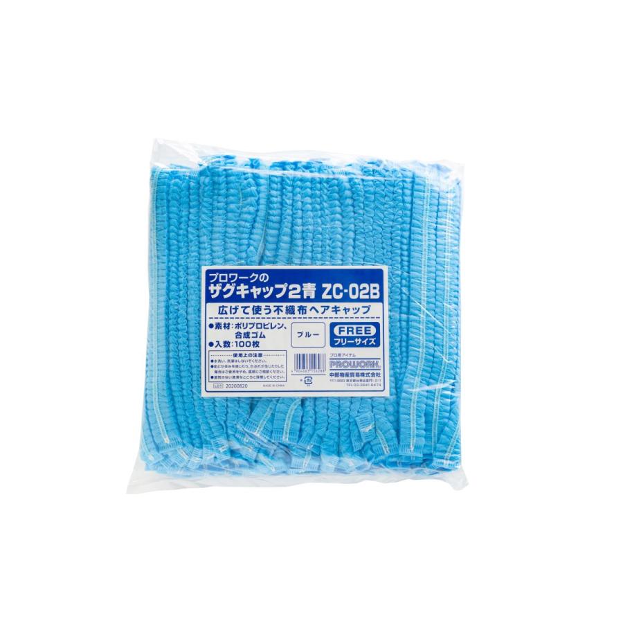 プロワーク ザグキャップ2 100枚入り 不織布 白 青フリー |  | 01