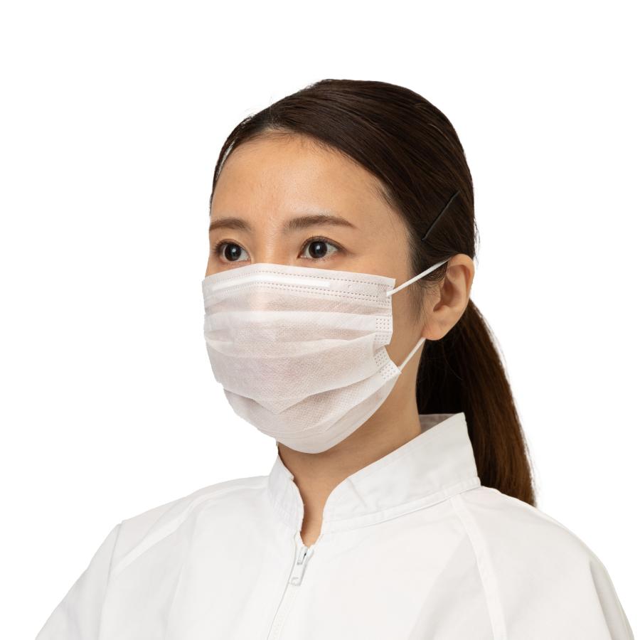 不織布　使い捨てマスク　蒸れにくい　PROWORK　2層マスク 耳掛け 2SM-01  100枚入り  飛沫防止　厨房　食品工場 |  | 01