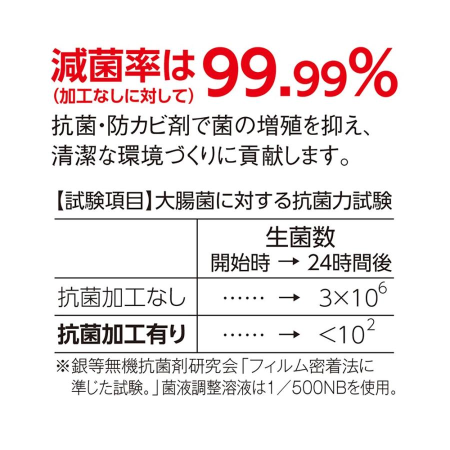 期間限定 セール価格 テラモト 抗菌安全スノコ 完成品 青 スノコ 400×1800mm MR-093-314-3 5/15 ポイント+5倍｜cc-net｜03