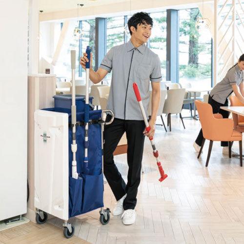 テラモト（TERAMOTO） エアロカートΣ TioTio ボルドーレッド DS-227