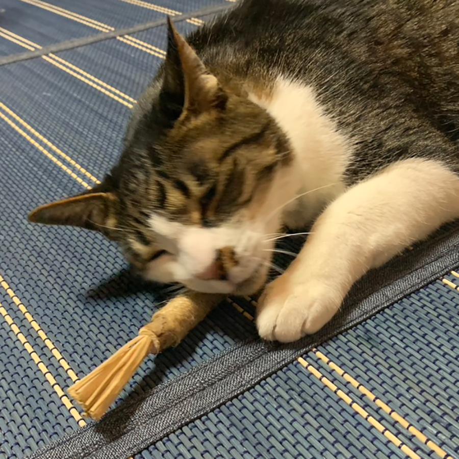 猫用天然またたびトイ スティック またたびの小枝 またたび マタタビ