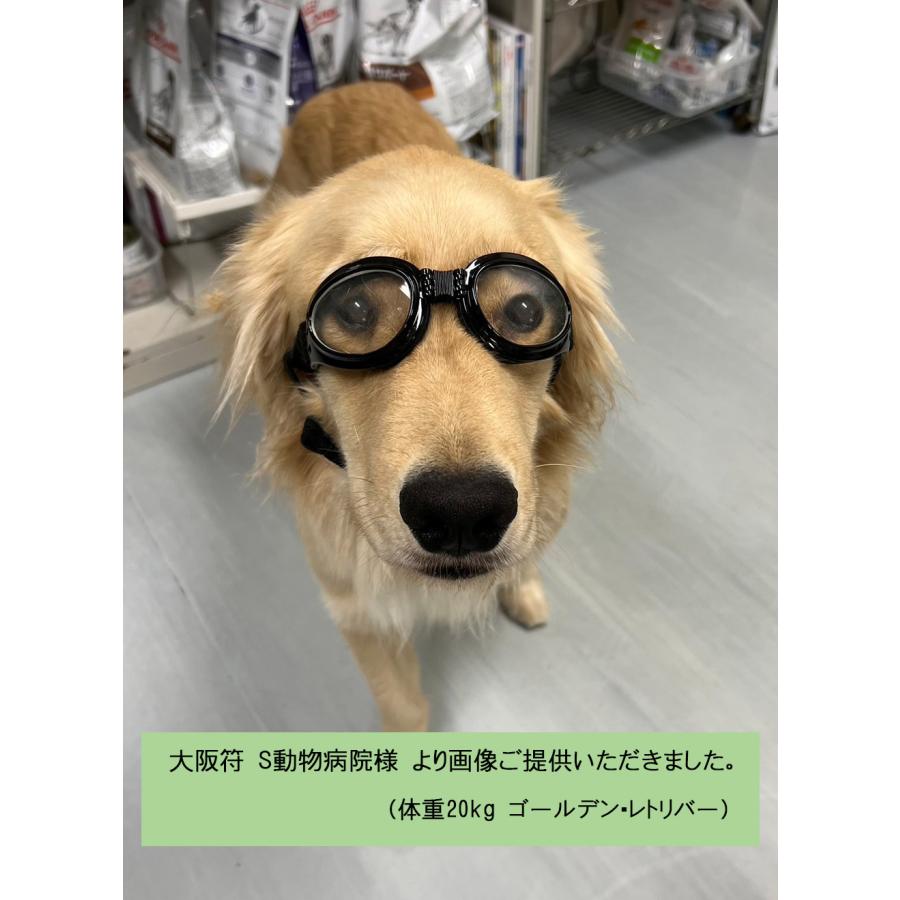中型犬用ゴーグル ペットメガネ ペットサングラス 愛犬の目を保護 紫外線対策 犬用ゴーグル ドッグゴーグル 犬用サングラス UV400 車酔い対策 送料無料 |  | 15