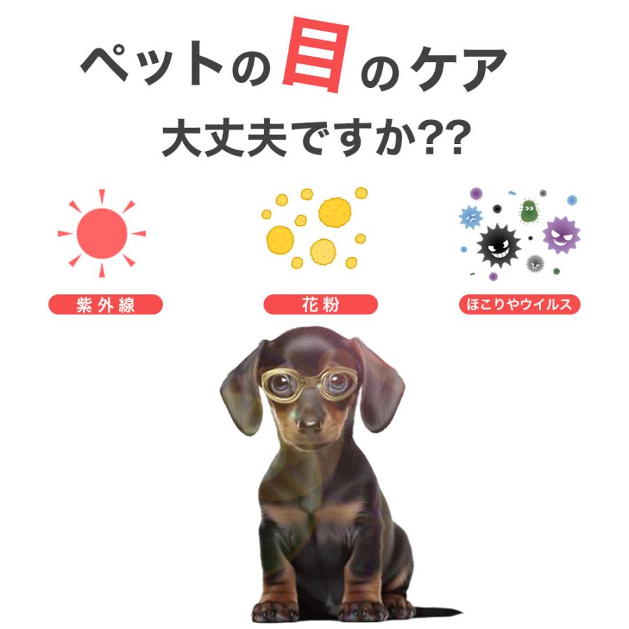 小型犬用ゴーグル 獣医師の視点からも注目されるデザイン 人気ランキング入賞 ドッグゴーグル クリアレンズ ミラーレンズ 犬用サングラス ペット 送料無料 |  | 08